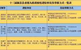 十三届温县县委第四轮巡察完成进驻！举报方式公布(巡察县委党支部单位信访)