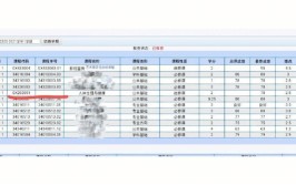 大学怎么查学分够不够