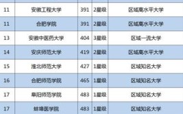 安徽大学职业技术学院是几本