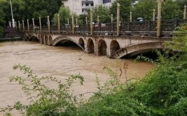 枣庄东沙河上几个桥面成小型停车场 市民出行不便(桥面市民桥上几个记者)