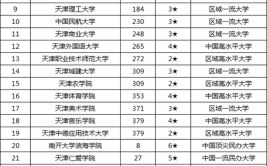 天津985211学校有哪些