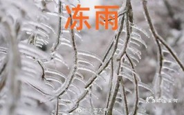 冻雨是一种什么现象