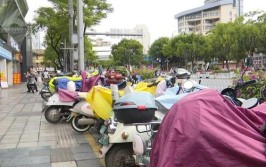 整治无序单车 温州各界期盼管理部门憋大招(单车网友共享管理浙江日报)