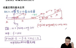 动量有方向吗