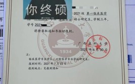 广西医科大学翻译专业是做什么的