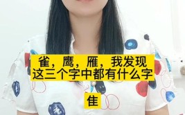 雀鹰雁这三个字都与什么有关