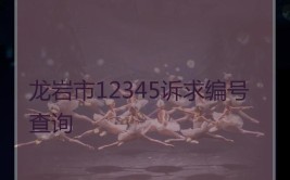 12345便民服务及e龙岩互动平台 7月份运行情况(新罗诉求未成年人编号查阅)