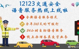 东营丨挪车、投诉、换驾照…打个电话就搞定↓(交管语音服务互联网交通安全)