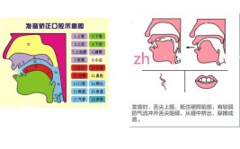 卷舌音和翘舌音的区别