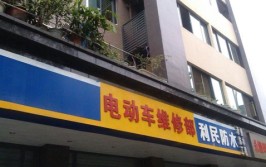 新电动汽车出问题商家只维修不更换(维修店主新车车辆服务部)