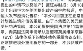 现在负债18亿元被强制拍卖(亿元新能源陨落拍卖负债)