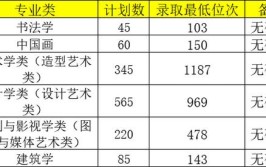 中国美术学院2024录取破格录取未启用造型专业进入4倍证范畴