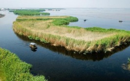 生态“七景”造就文旅“奇景”——内蒙古绘就山水林田湖草沙新画卷(苏木游客生态沙漠草原)