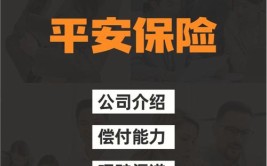 保险公司不想修了？司机：一家子全指望这辆车呢(块钱大哥保险公司车子指望)