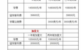 北京外国语大学中外合作办学学费多少钱一年