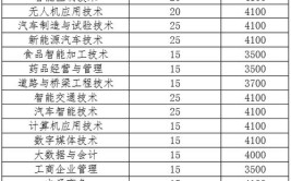 白城职业技术学院艺术类专业有哪些？