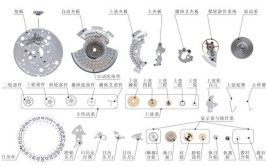 《自学修表》：手动机芯拆解及结构原理讲解(机芯拆解自学讲解原理)