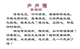 迟迟无语字字苦酸什么意思