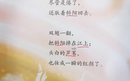 秋晚点明了什么,江上交代了什么