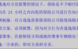 对方下车看了一下，还不报警不通知车主就逃逸！(逃逸看了车主肇事还不)