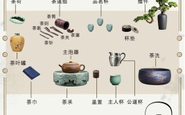 茶席上的本草纲目资深茶人老古茶席插花实用教程