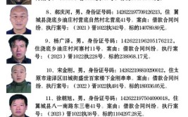 2020年第一批失信名单公布 156家企业上“黑榜”(附名单)(人民法院合同纠纷借款有限责任公司市道)