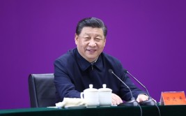 “陕西要有勇立潮头、争当时代弄潮儿的志向和气魄”——习近平总书记陕西考察纪实(总书记脱贫疫情复工防控)