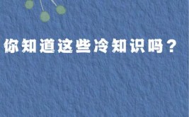 换个电池五六万，这些冷知识你知道多少？(速比你知道电池换个五六)