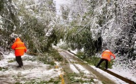 清雪除冰保畅通 全力稳供暖意浓(降雪保障天气雨雪积雪)