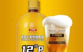 精酿品牌「轩博啤酒」再获数千万元A轮融资(啤酒发酵品牌采用市场)