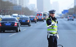 原地起跳怒怼交警？(车主还不起跳交警接电话)