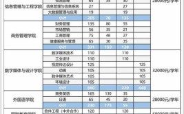 广东东软学院2019年夏季普通高考招生章程