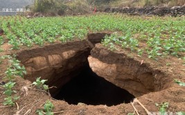 把新村部”建在“大坑”上，究竟是咋回事？(村里村民新村大坑排水沟)