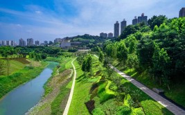 岸绿景美”——看渝北如何打造生态样板(渝北临河生态提升样板)