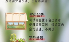 学会这几种小技巧让你的植物安全度夏