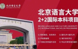 北京语言大学国际班2+2项目怎么样？