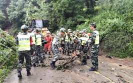 忆往昔 峥嵘岁月稠(抢险汉沽地震公司死人)