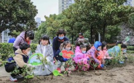 共建美丽家园这个街道让市民与绿植更亲近