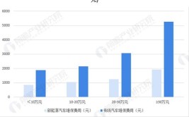 新能源车和燃油车维修大有不同？看行家们怎么说(新能源汽车业务售后未来)