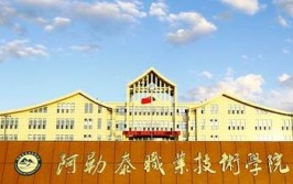 阿勒泰职业技术学院是公办还是民办大学？