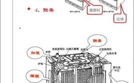 汽车电池组构成及装配工艺分析(极板电池电解液蓄电池电池组)