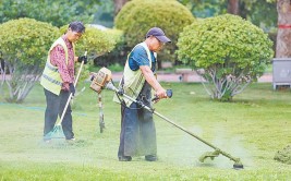 美国大农村是怎么修剪草坪的蓝天白云绿草地