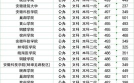 2024安徽分数线最低的二本大学