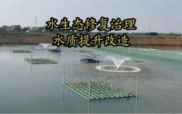 长春市着力推进水环境质量改善提升(重点流域水源地水质水体)