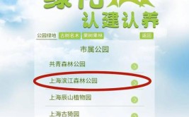 南通树木认建认养活动启动了 市民可通过电话和现场两种方式报名参与