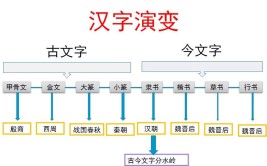 汉字演变过程的时间排序正确的是