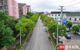 道路改造持续推进 无锡惠山洛社镇民生工程见实效(道路改造洛社镇工程民生)