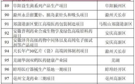 安徽省2023年重点项目（第一批A类）清单（宿州市）(项目高新区年产建设项目园区)