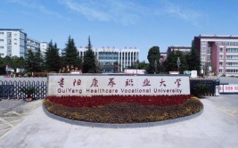 贵州康养职业大学是本科还是专科