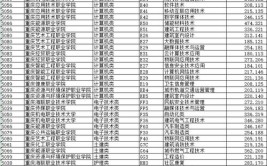 重庆理工职业学院2021年重庆市高等职业教育分类考试招生章程